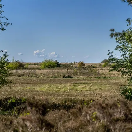 Annestine - 200m From The Sea By Interhome